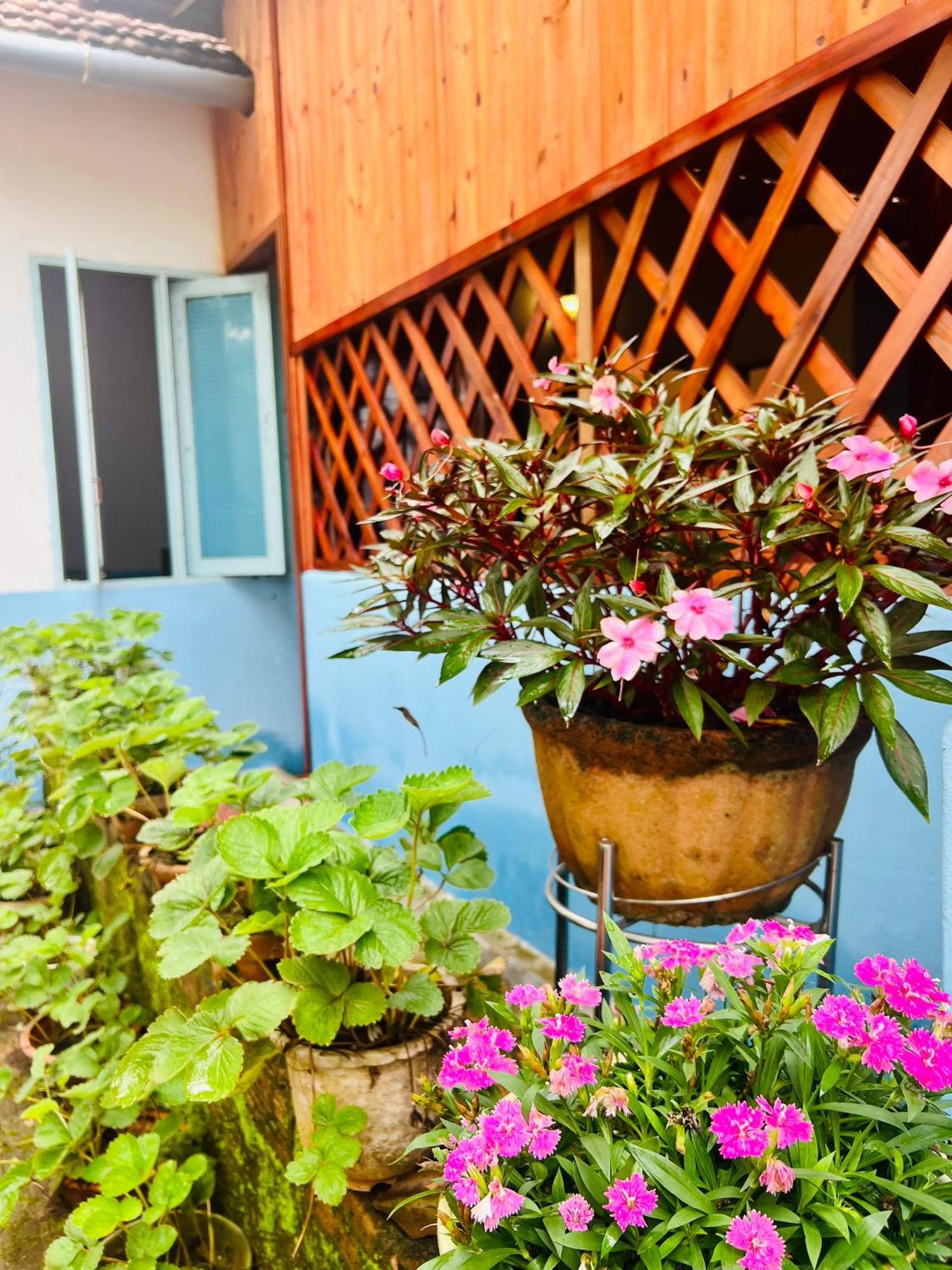 Vietnam Phuot Homestay Kon Tum Bilik gambar