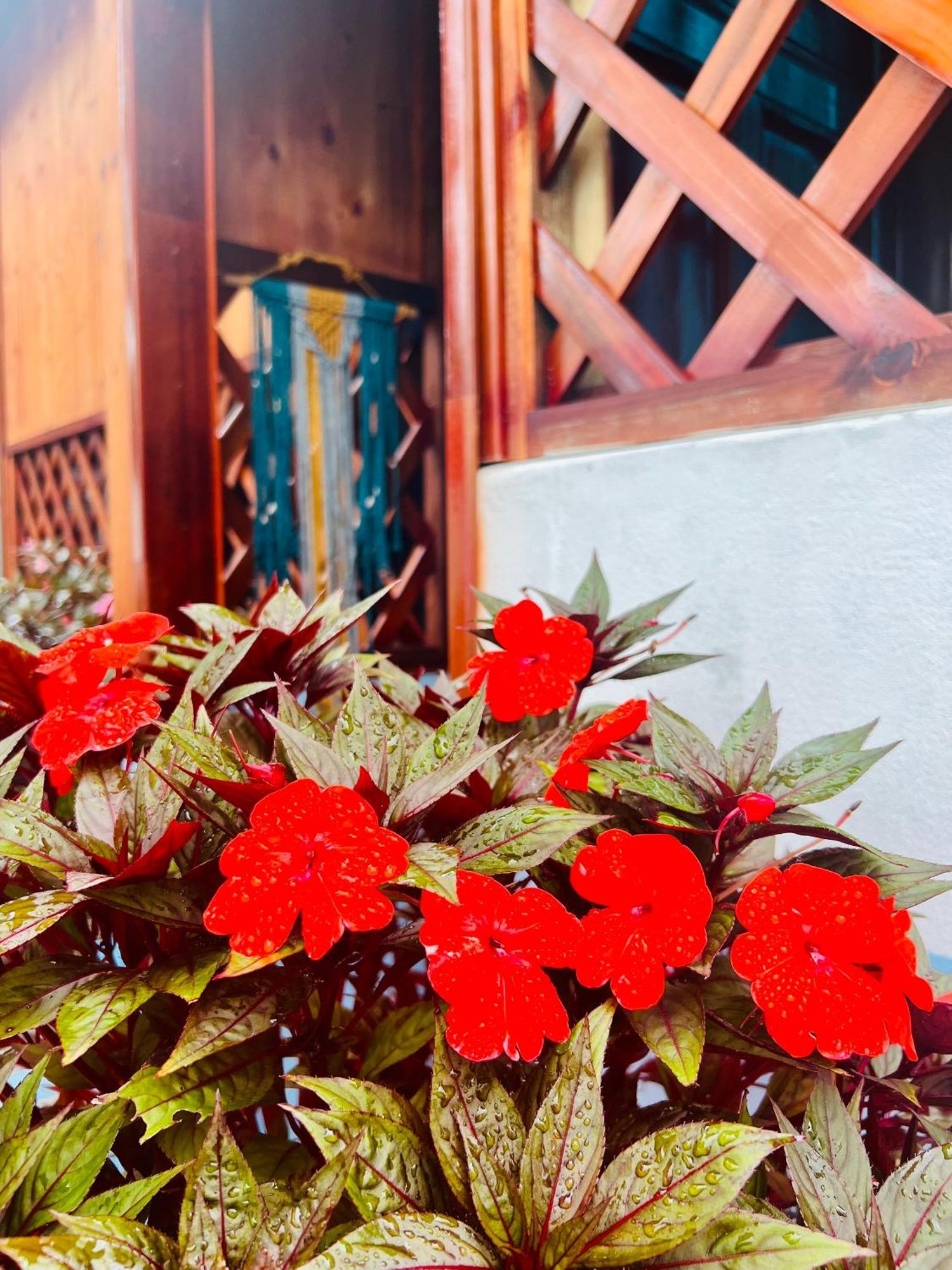 Vietnam Phuot Homestay Kon Tum Bilik gambar